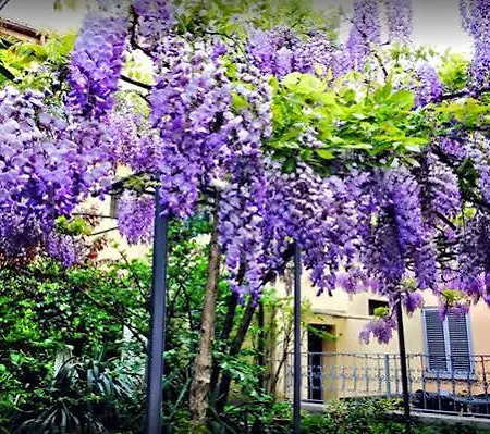 Hotel San Vitale